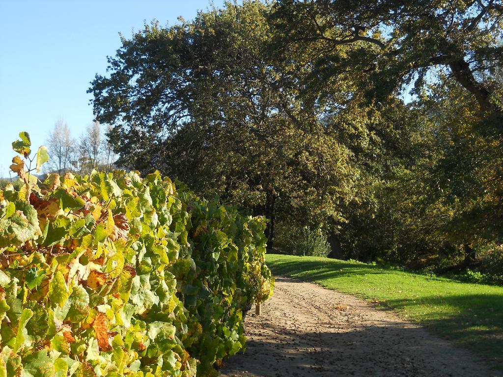Auberge Clermont Franschhoek Dış mekan fotoğraf