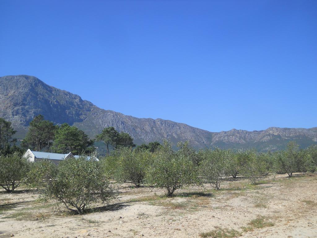 Auberge Clermont Franschhoek Dış mekan fotoğraf