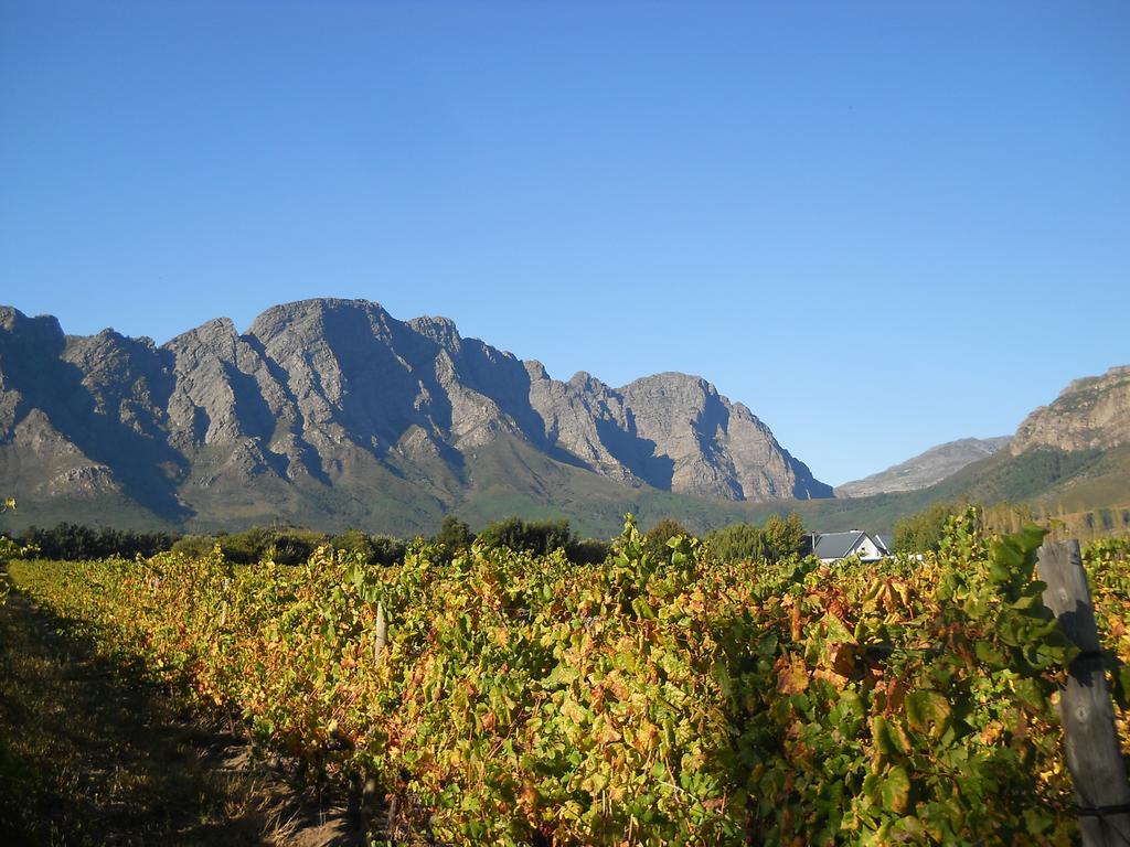 Auberge Clermont Franschhoek Dış mekan fotoğraf