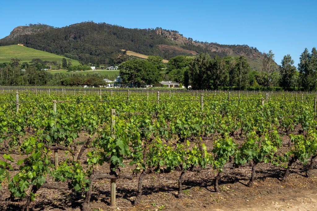 Auberge Clermont Franschhoek Dış mekan fotoğraf