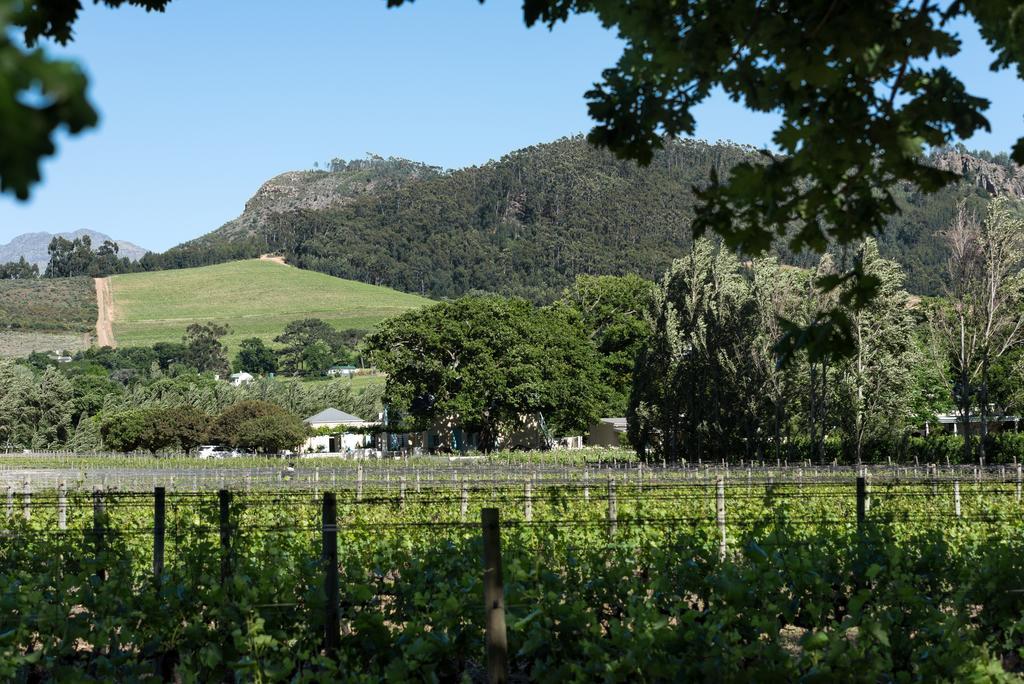Auberge Clermont Franschhoek Dış mekan fotoğraf