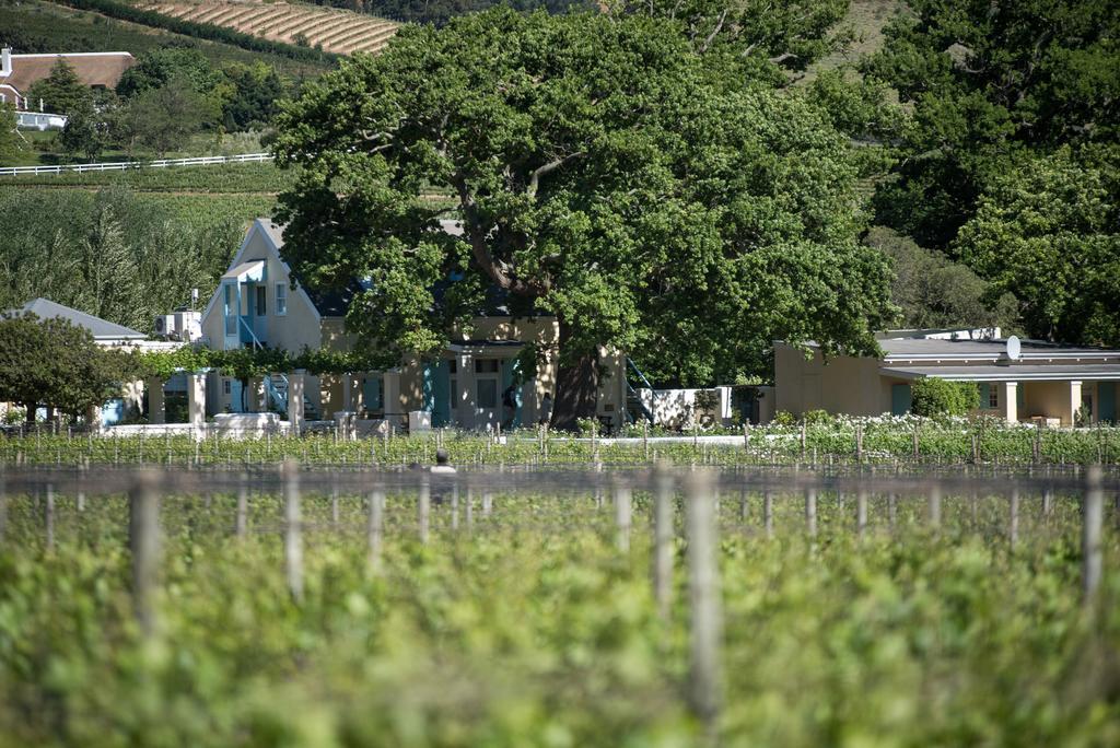Auberge Clermont Franschhoek Dış mekan fotoğraf