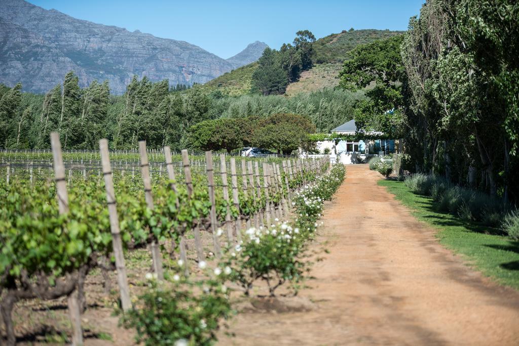 Auberge Clermont Franschhoek Dış mekan fotoğraf