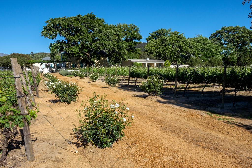 Auberge Clermont Franschhoek Dış mekan fotoğraf