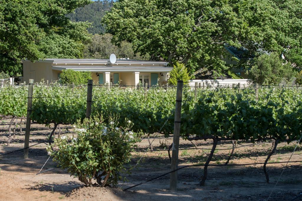 Auberge Clermont Franschhoek Dış mekan fotoğraf