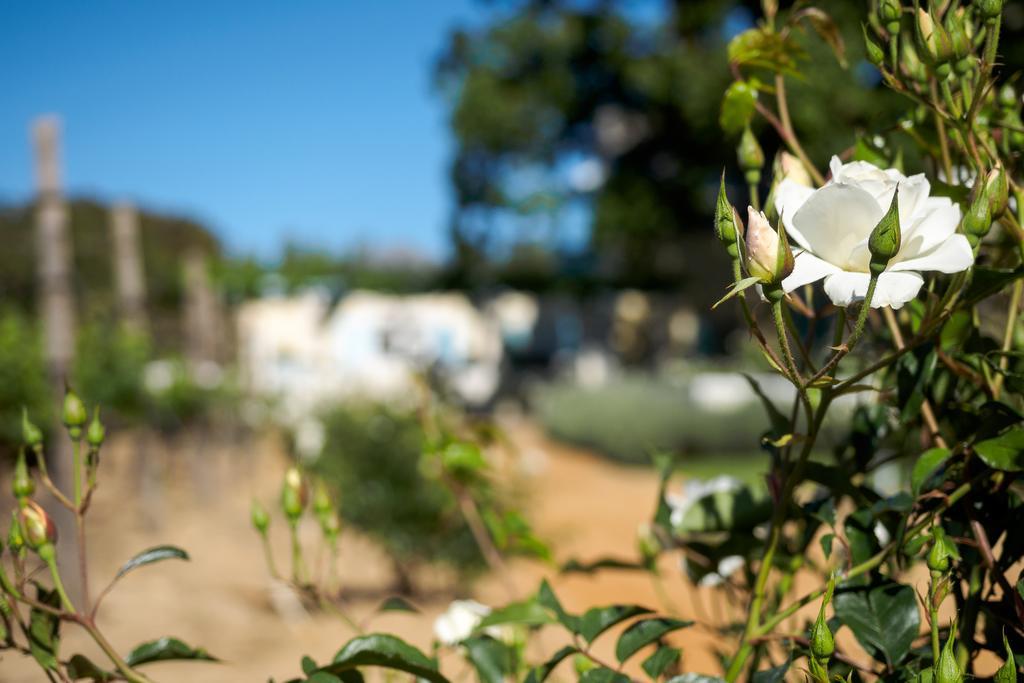 Auberge Clermont Franschhoek Dış mekan fotoğraf