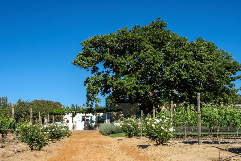 Auberge Clermont Franschhoek Dış mekan fotoğraf