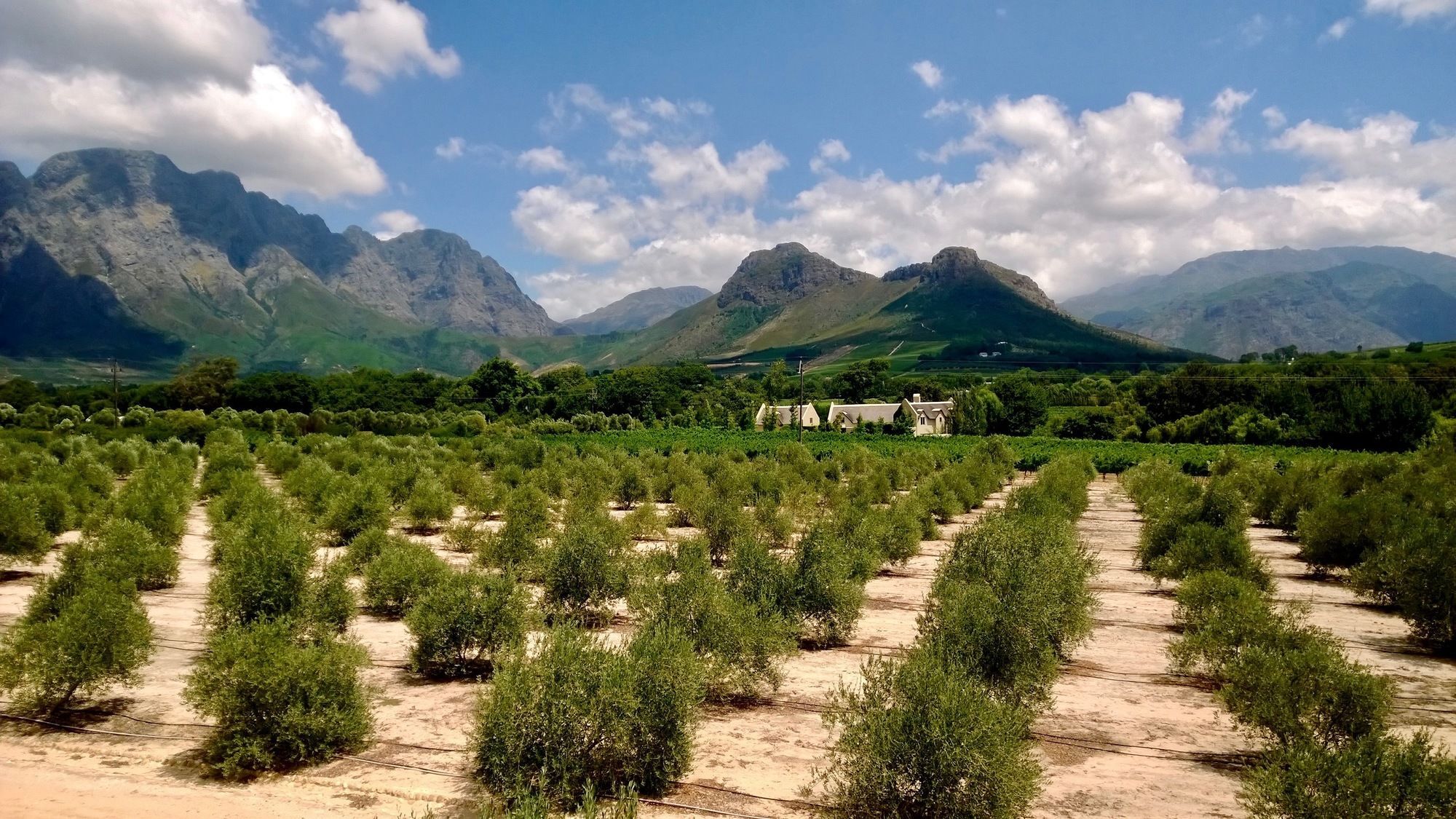 Auberge Clermont Franschhoek Dış mekan fotoğraf