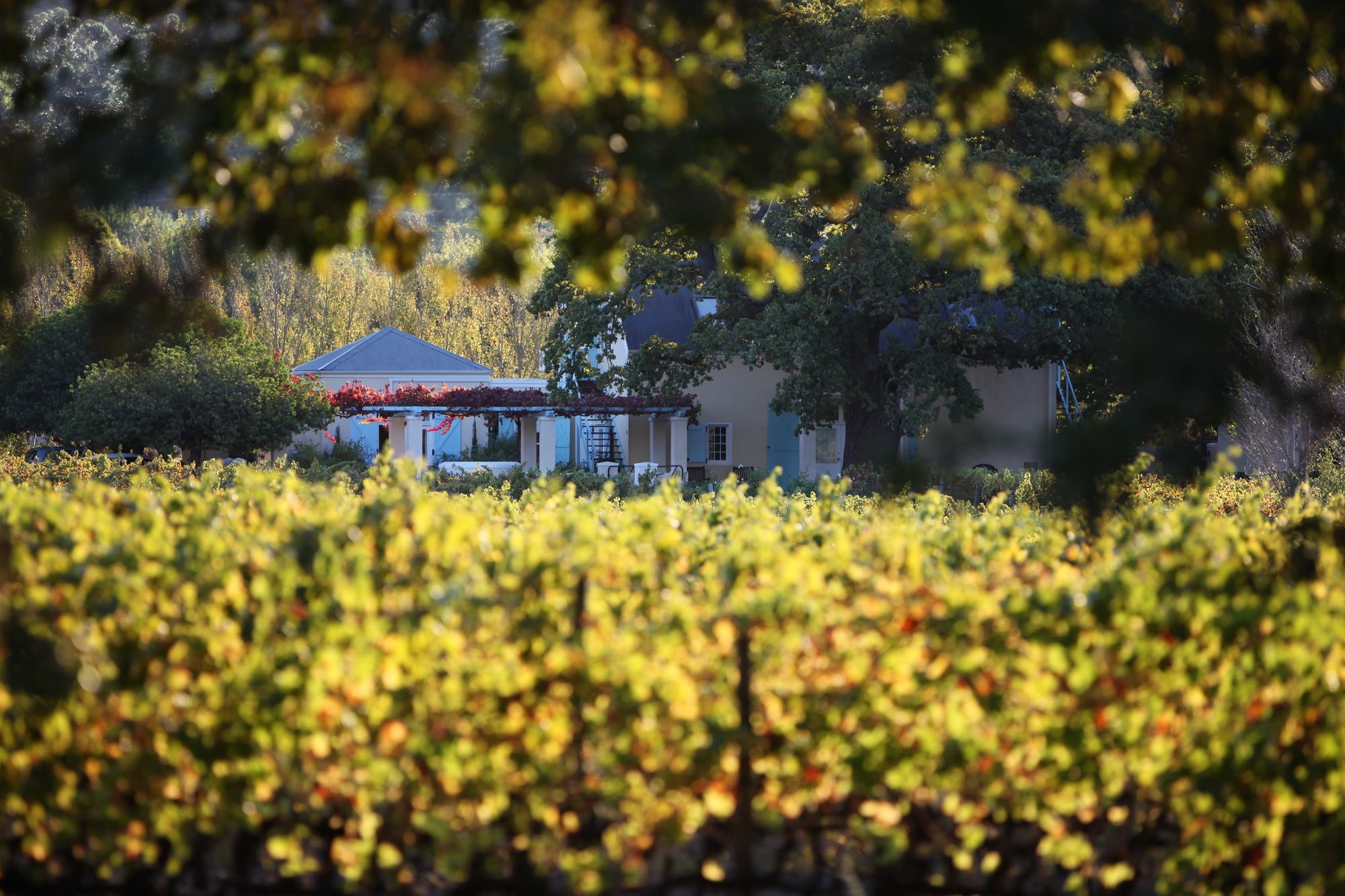 Auberge Clermont Franschhoek Dış mekan fotoğraf