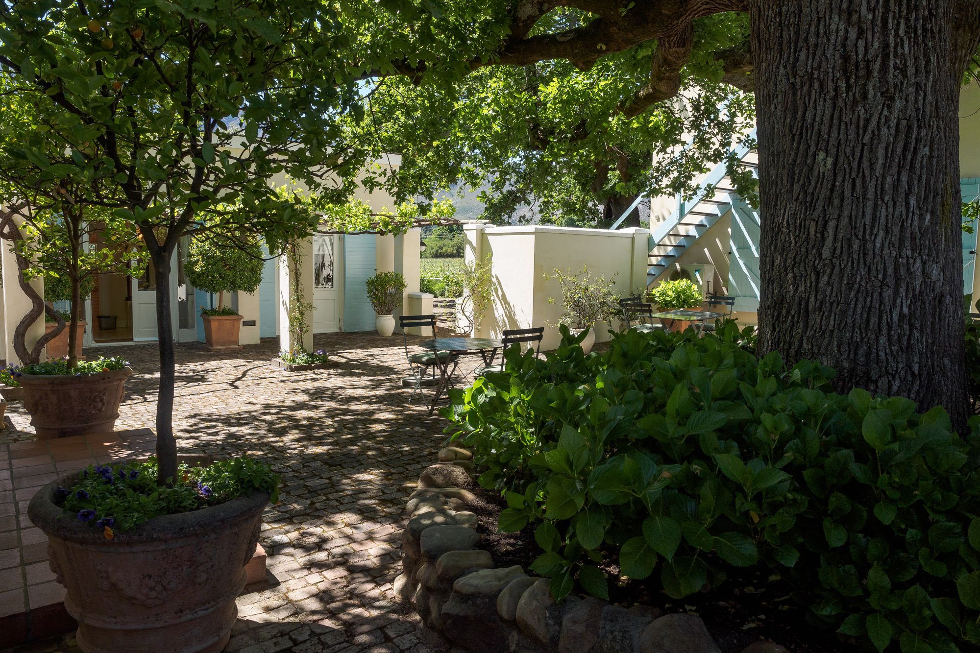 Auberge Clermont Franschhoek Dış mekan fotoğraf