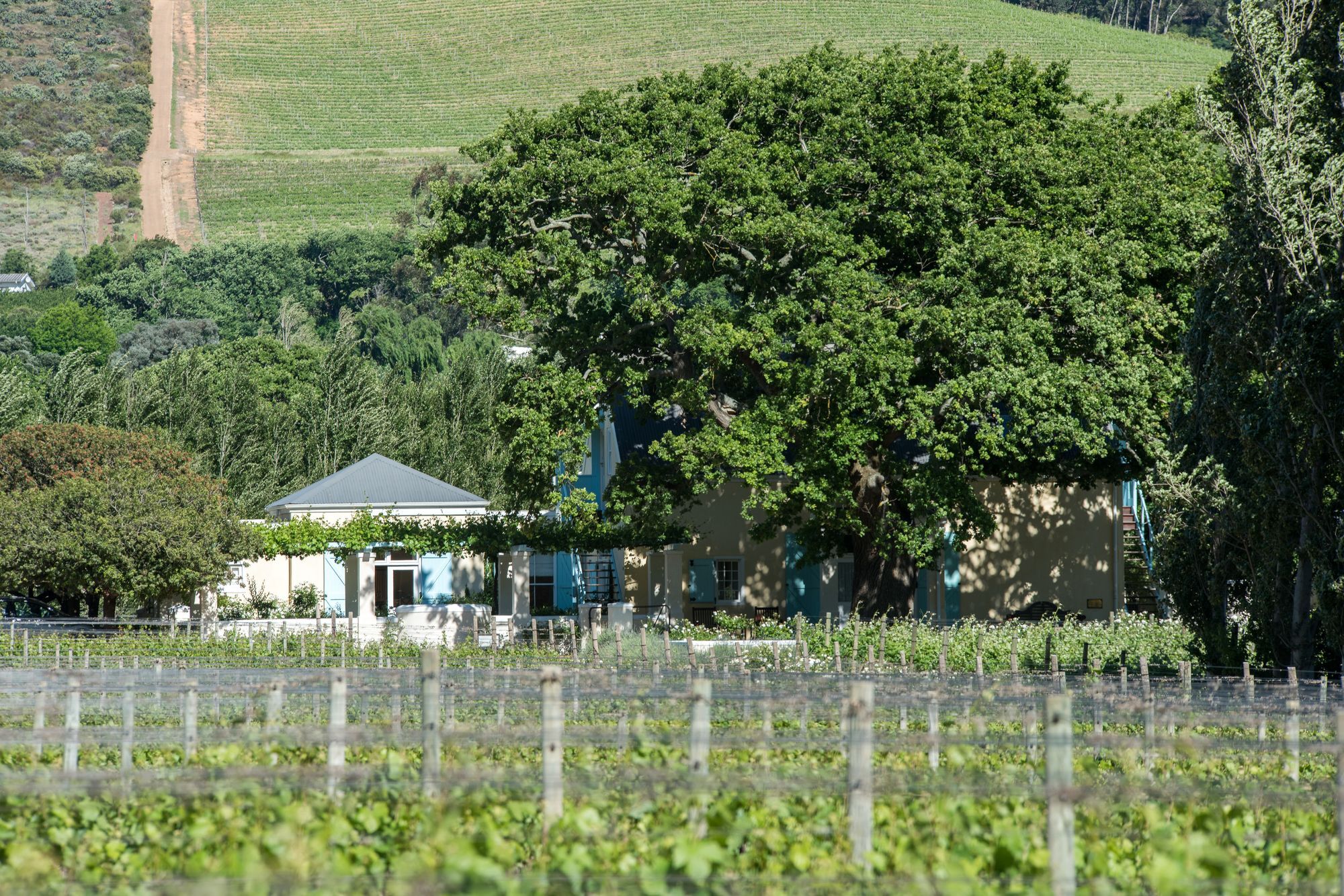 Auberge Clermont Franschhoek Dış mekan fotoğraf